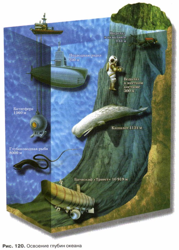 �������� ������ ������