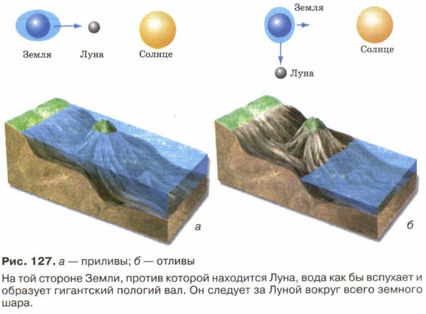 ��������� �����