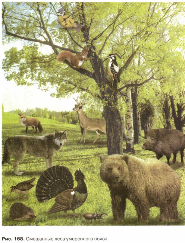 ��������� ���� ���������� �����