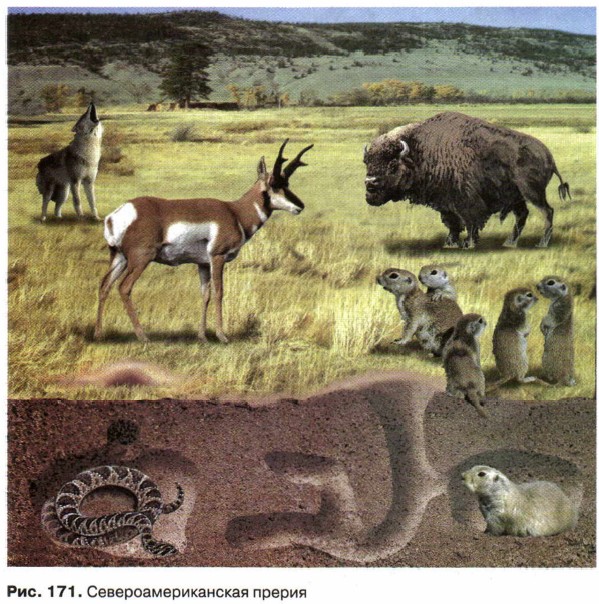 ������������������ ������