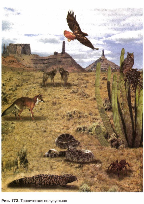 ����������� ��������� ��