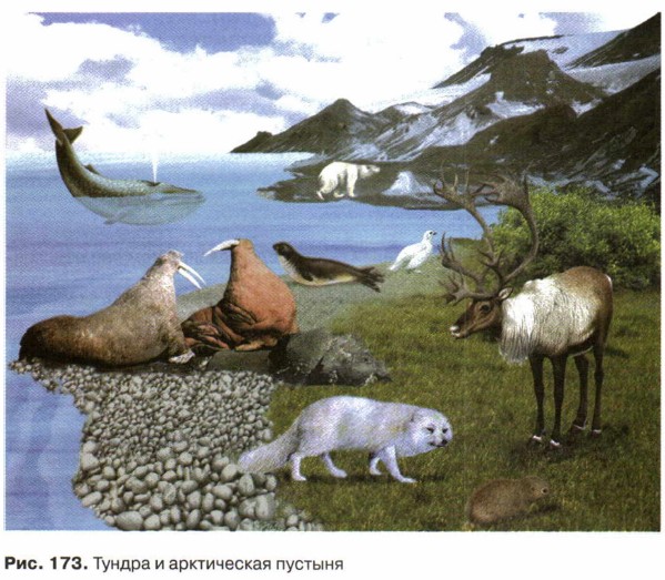 ������ � ����������� �������