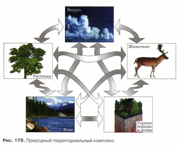 ��������� ��������������� ��������