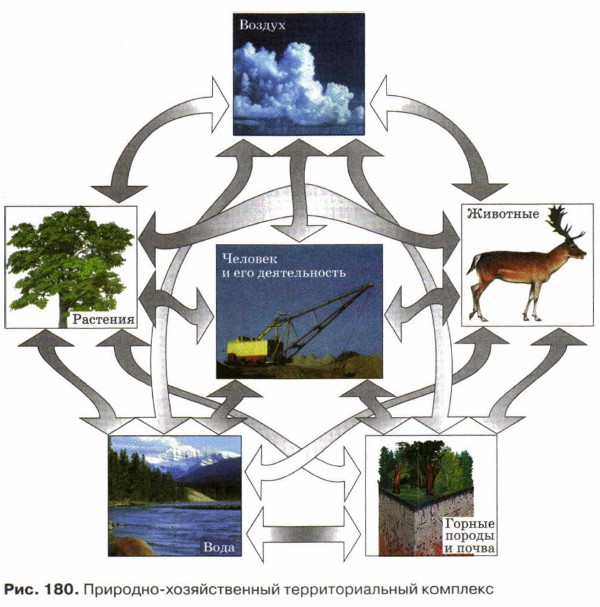 ��������-������������� ��������������� ��������