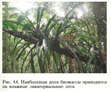 ���������� ���� �������� ���������� �� ������� �������������� ����