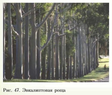 ������������ ����