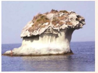 ����� � ��������� ������� �����