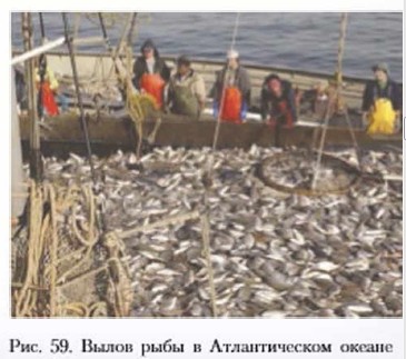 ����� ���� � ������������� ������