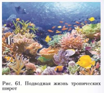 ��������� ����� ����������� �����