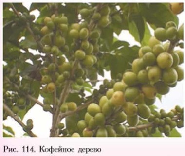 �������� ������