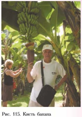 ����� ������