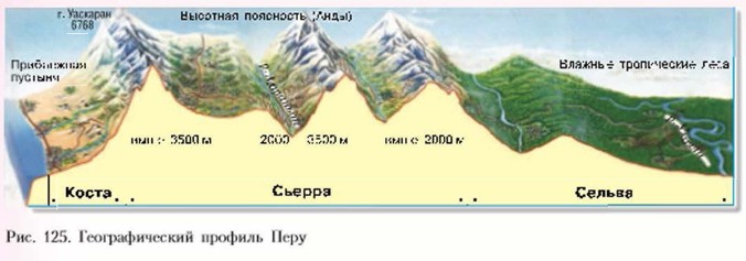 �������������� ������� ����