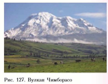 ������ ���������