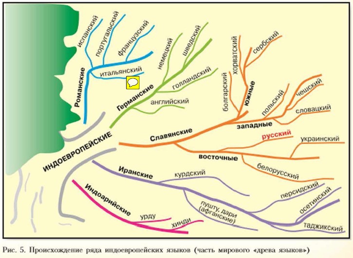 ������������� ���� ��������������� ������