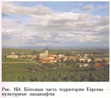 ���������� ���������