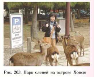 ���� ������ �� ������� �����