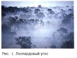 ����������� ����