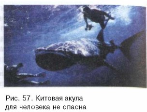 ������� �����