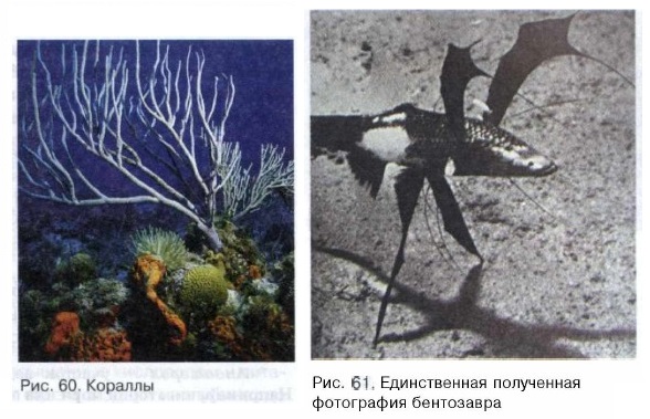 ���������� ����������