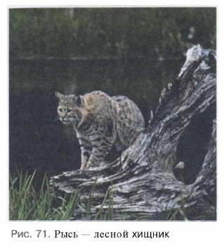 ���� � ������ ������