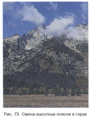 ����� �������� ������ � �����