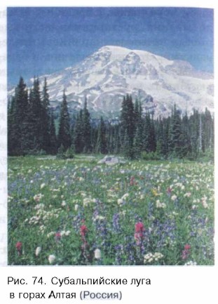 ������������� ����