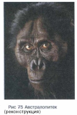 �������������