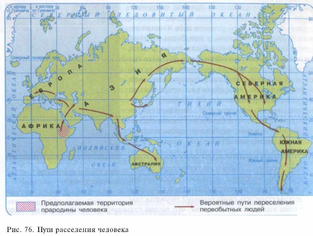 ���� ���������� ��������