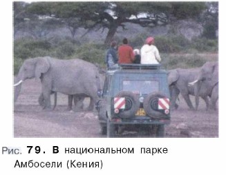 � ������������ ����� �������� (�����)