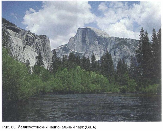 �������������� ������������ ���� (���)