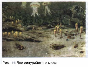 ��� ������������ ����