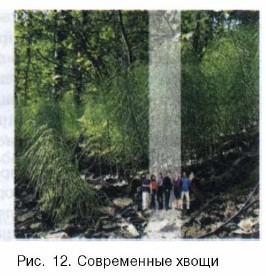 ����������� �����