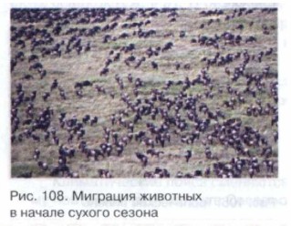 �������� �������� � ������ ������ ������