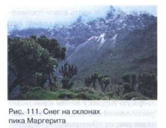 ���� �� ������� ���� ���������