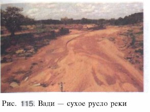 ���� � ����� ����� ����