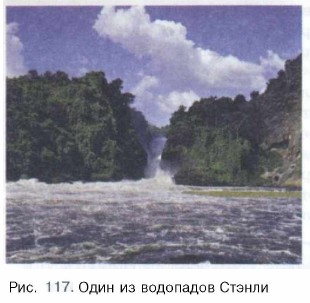 ���� �� ��������� ������