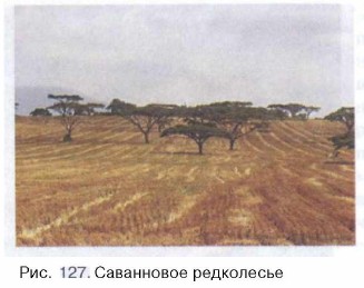 ���������� ����������