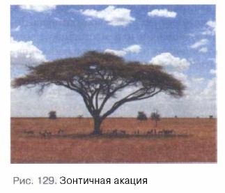 ��������� ������