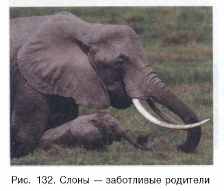 ����� � ���������� ��������