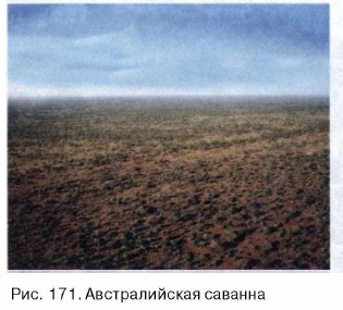 ������������� �������