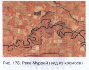 ���� ������