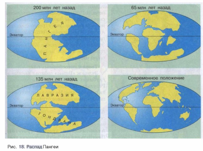 ������ ������