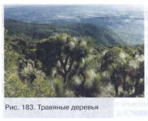 �������� �������