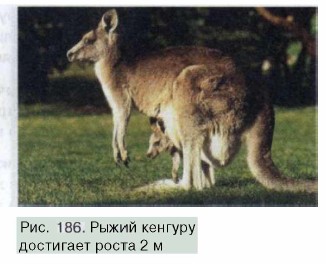 ����� ������� ��������� ����� 2 �