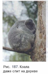 ����� ���� ���� �� ������