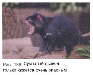 �������� ������