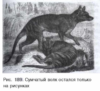 �������� ����