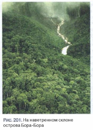 ������ ����-����