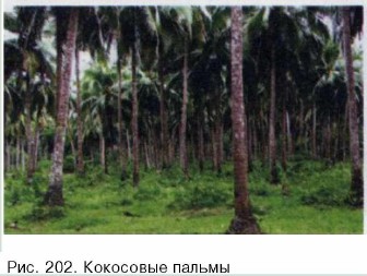 ��������� ������