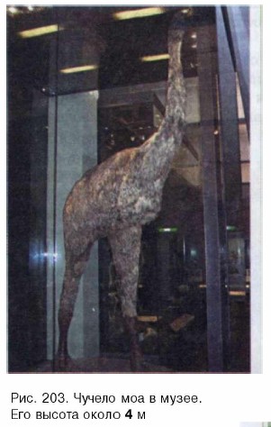 ������ ��� � �����